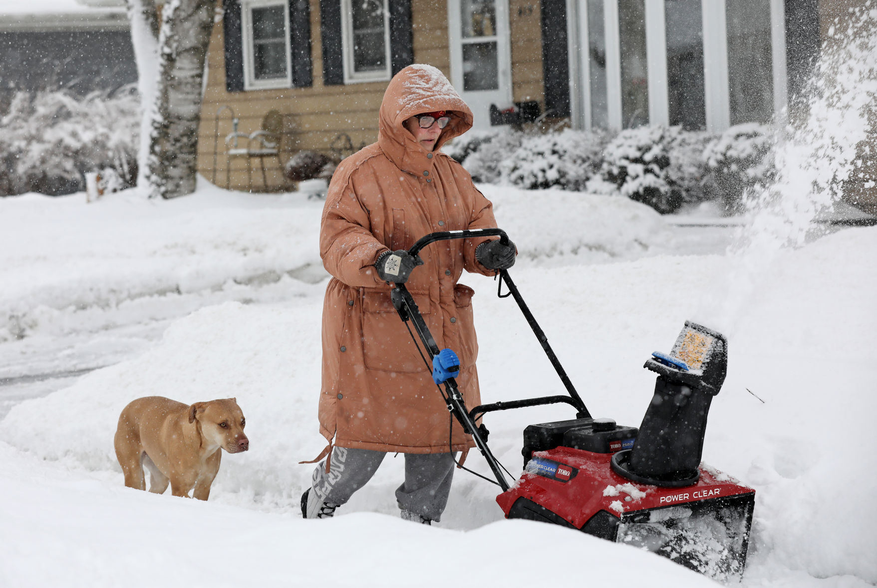Doggone snow
